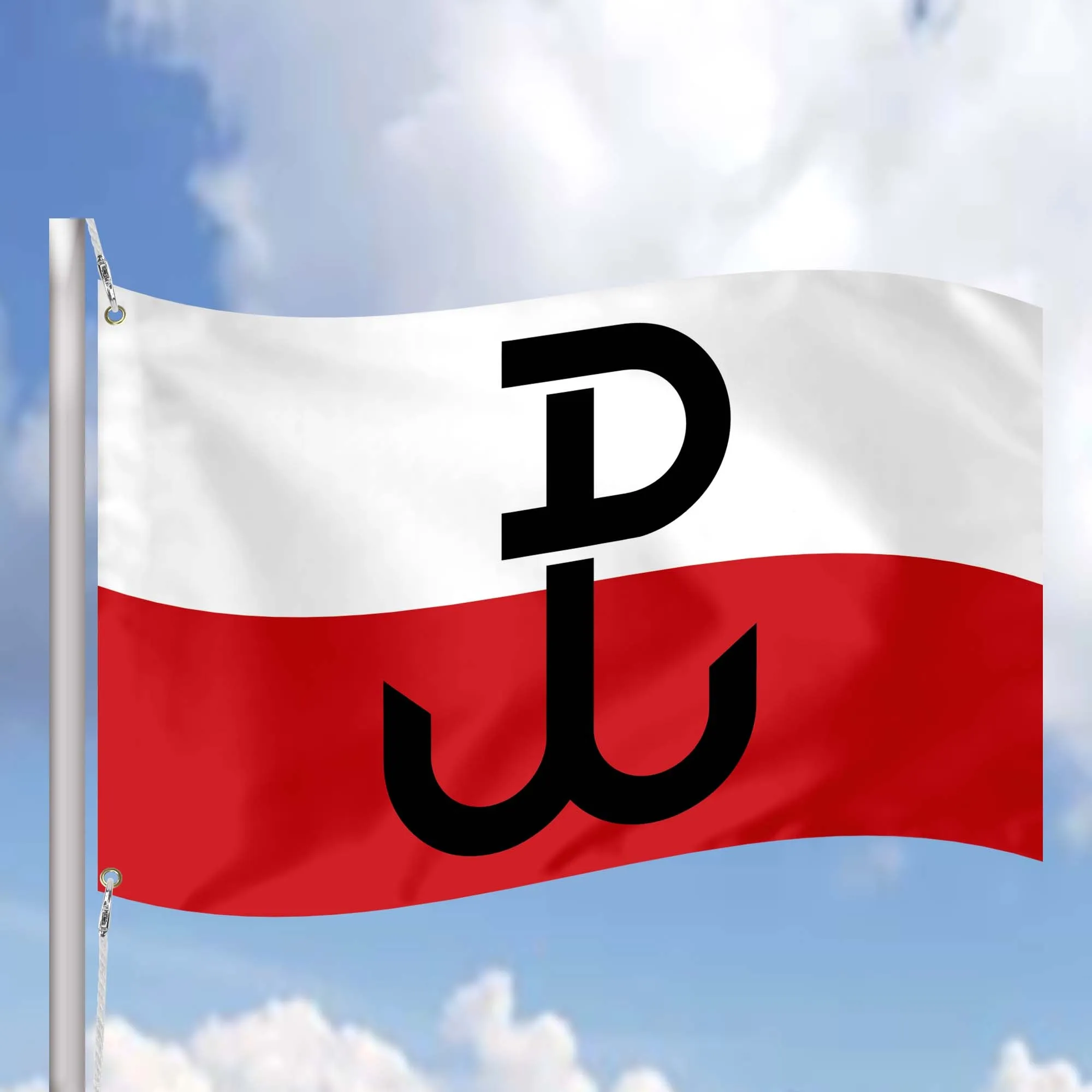 Poland Flag Banner